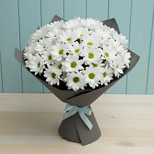 Букет цветов из:  Хризантемы #REPLACE_PRED# Каменоломни