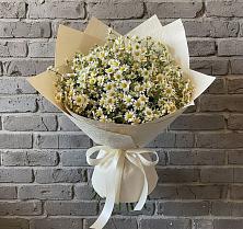Букет цветов из:  Ромашки в Каменоломни