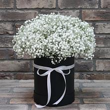 Цветочная композиция из Гипсофила в шляпной коробке в Каменоломни